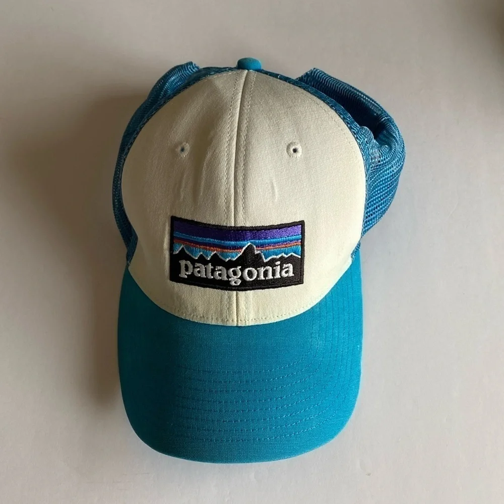 Patagonia trucker hat blue white GUC